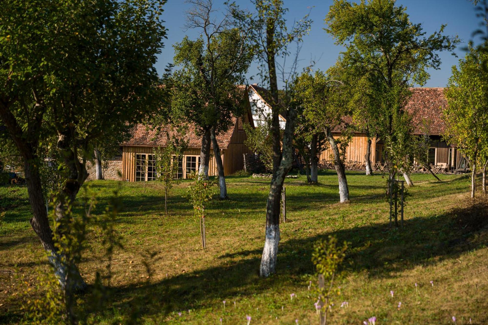 Mesendorf Gasthaus 외부 사진